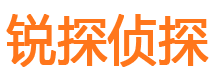 浪卡子市私家侦探